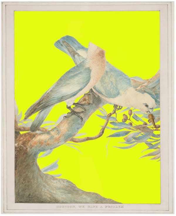 JOAN ROSS Houston, we have a problem, 2021 hand-coloured pigment print on rag paper 99 x 79 cm / 111 x 91 cm (framed) edition of 8 + 2 AP