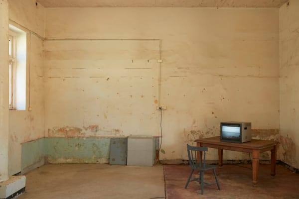 Cis2215S Zw 15 130320 Agnsw Cockatoo 0958