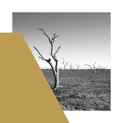 Economics Of Water 7 Levee 2018 Gold Paint On Photograph 100X100Cm