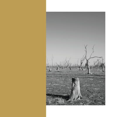 Economics Of Water 8 Dam 2018 Gold Paint On Photograph 100X100Cm