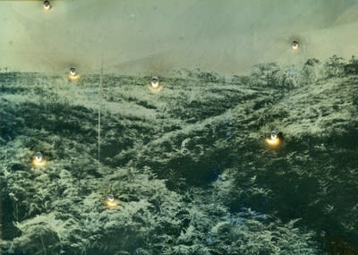 James Tylor Whalers, Sealers and Landstealers (The Gully), 2014 Becquerel Daguerreotypes with 410 and 12 gauge shotgun holes 11 x 14 cm