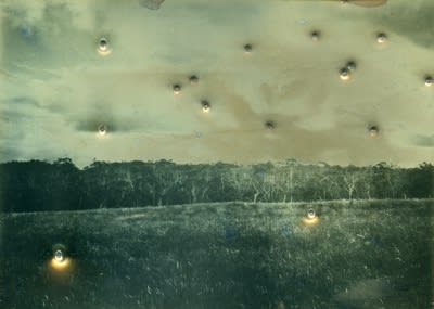 James Tylor Whalers, Sealers and Landstealers (The State Forest), 2014 Becquerel Daguerreotypes with 410 and 12 gauge shotgun holes 11 x 14 cm