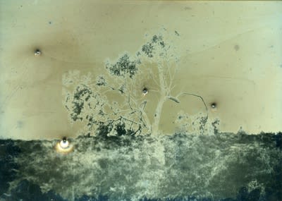 James Tylor Whalers, Sealers and Landstealers (The Far Hill), 2014 Becquerel Daguerreotypes with 410 and 12 gauge shotgun holes 11 x 14 cm