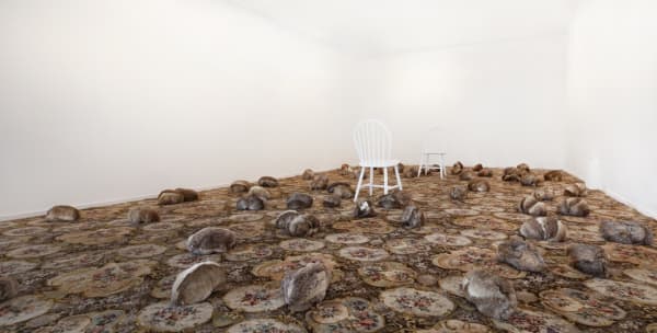 Rebecca Selleck Lapin Plague, 2016