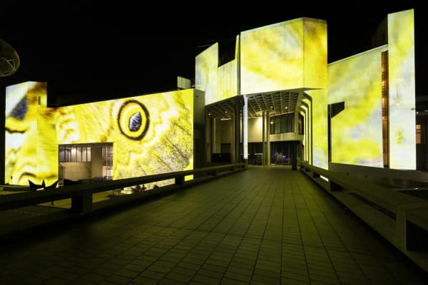 Nga Know My Name Facade 3