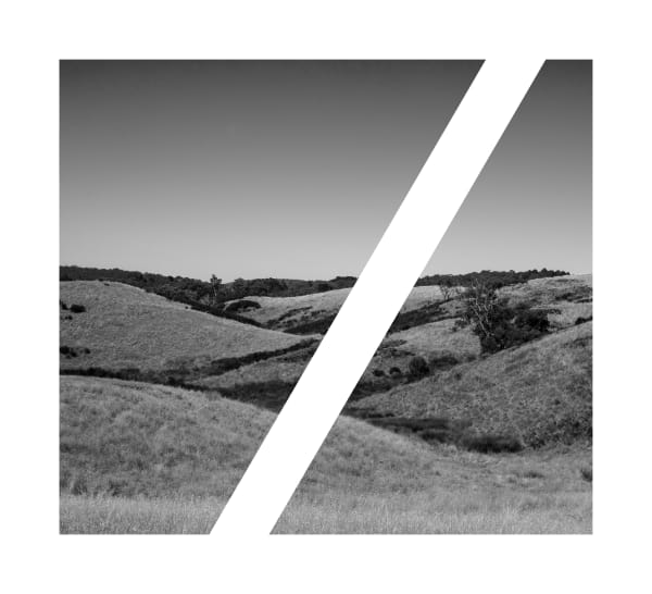 Artist Talk with James Tylor.