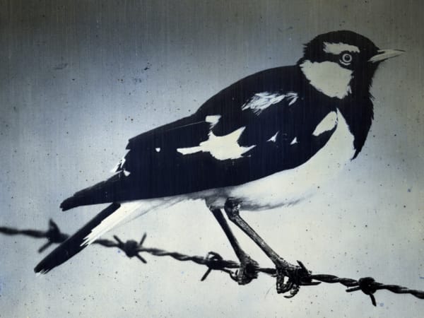 The Neighbour at the Gate