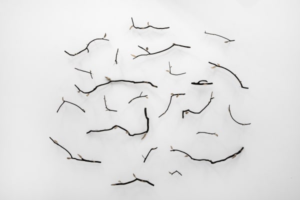 'Falling Branches' by Rebecca Selleck
