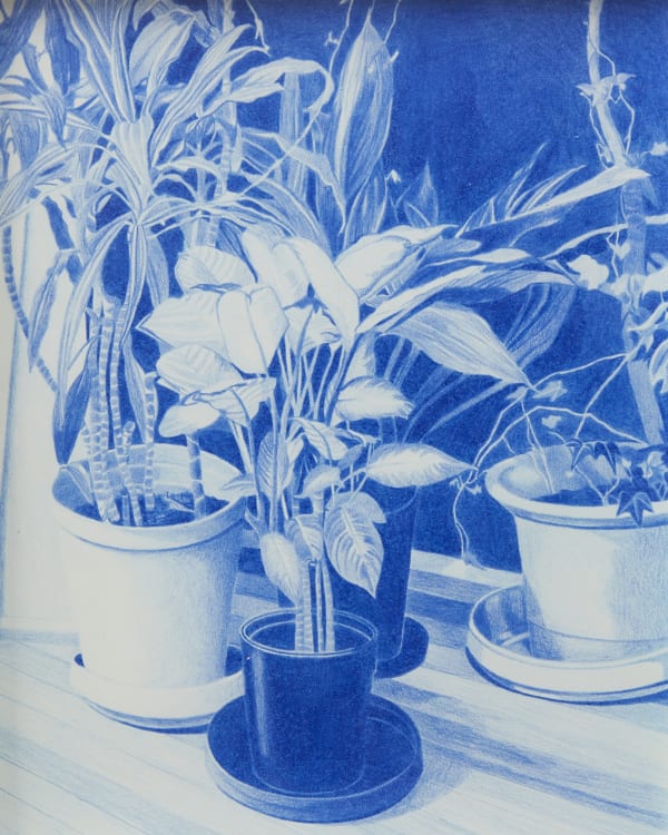 Folio: Contemporary Australian Drawing & Print. N.Smith Gallery