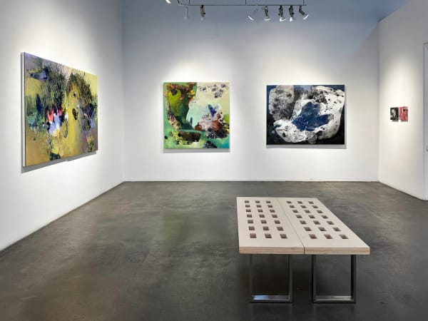 Shar Coulson Lucid Phantasies 7 2024