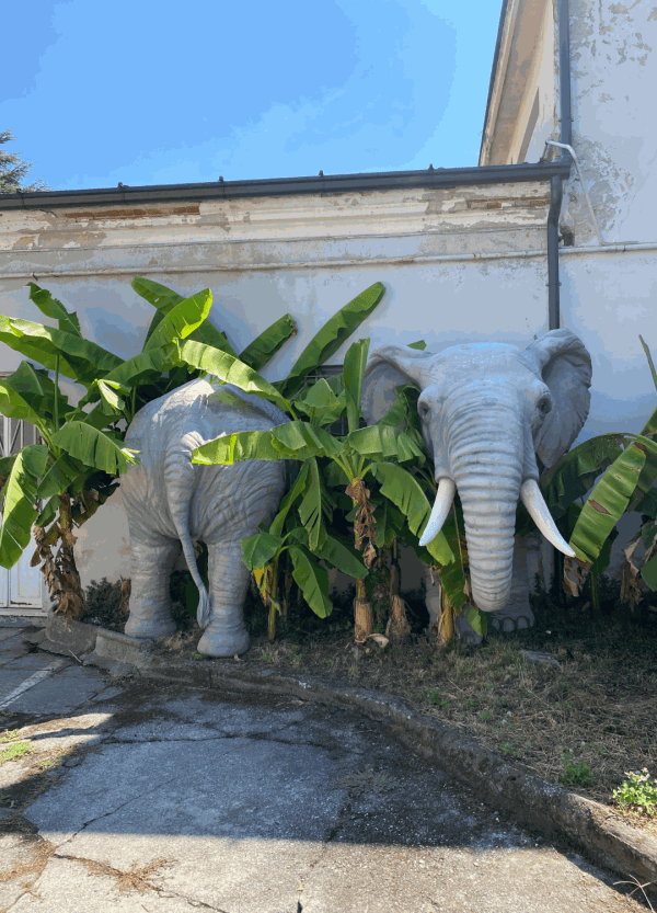 Elephant at the artist's studio of Stefano Bombardieri
