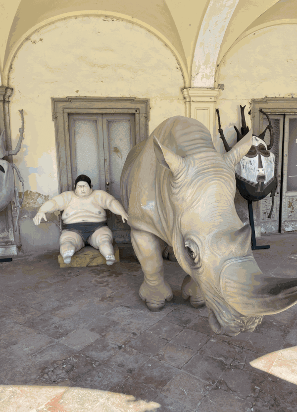 Sumo and Rhino at the artist's studio of Stefano Bombardieri