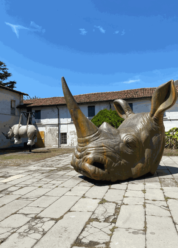 Testa Rinoceronte at the artist's studio of Stefano Bombardieri