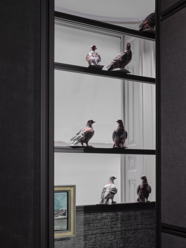 Pigeon Room