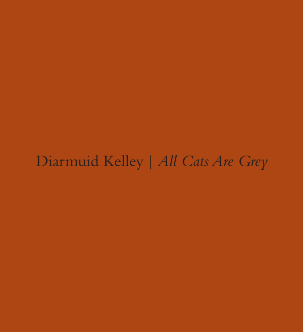 Diarmuid Kelley: All Cats Are Grey . Selected Works 2011-2013