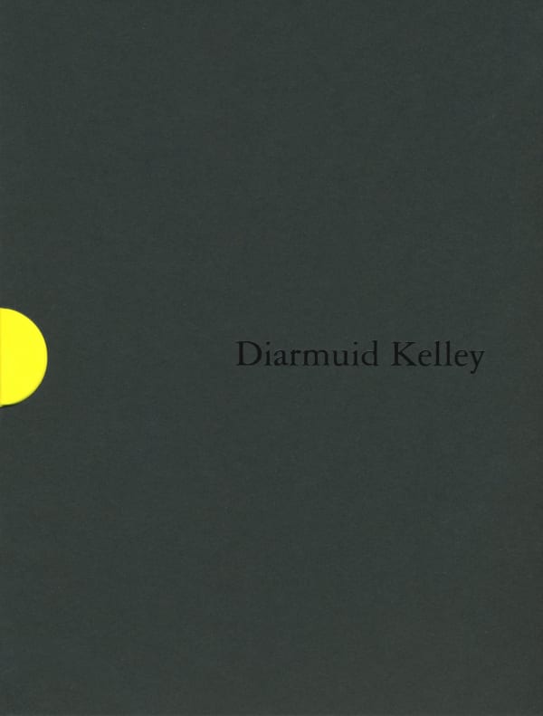 Diarmuid Kelley: Autumn Journal