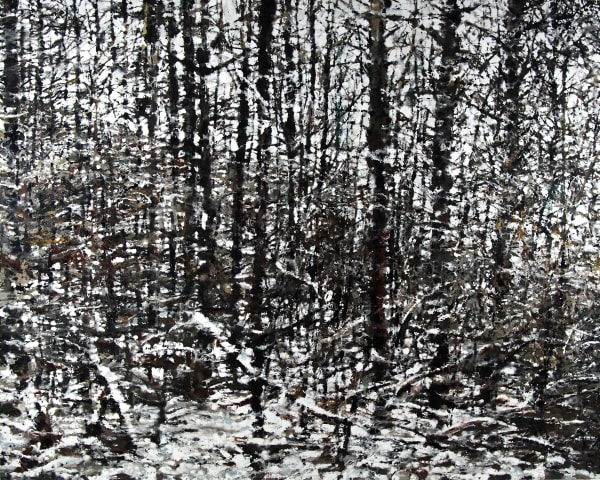 De la nature, avec Philippe Cognée