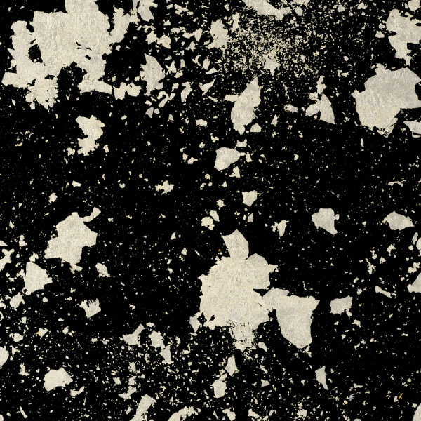 Gold Leaf Standard Chirashi