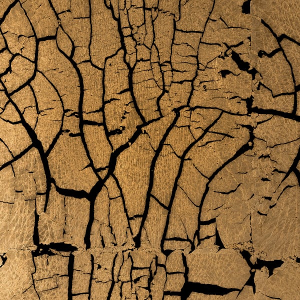 Brass Leaf No. 4 Cracked