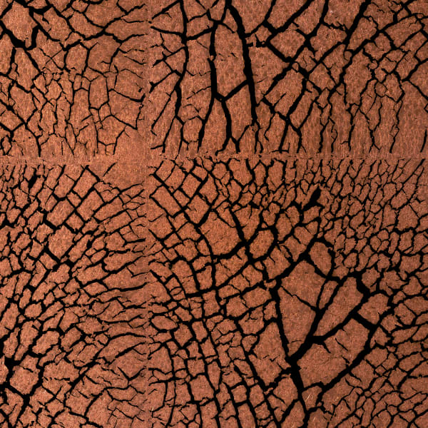 Copper Leaf Cracked