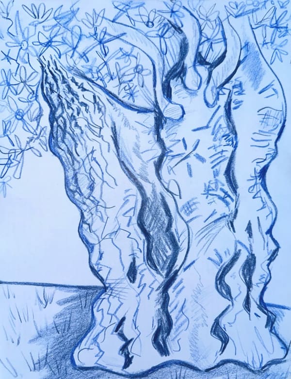 Surreal Olive Tree: Blue