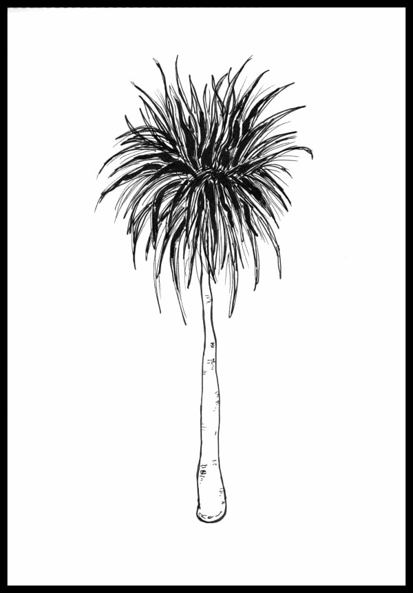 Palm Tree Cannes 2 1