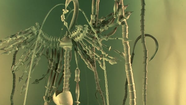 SASKIA OLDE WOLBERS Pareidolia 2011