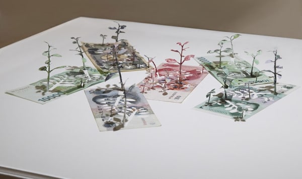 Gallery Collection