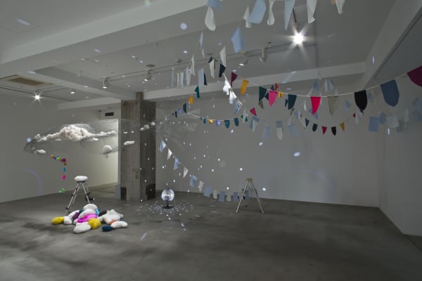 A Mermaid’s Territory - Flags and Internal Organs