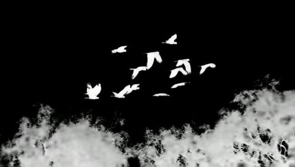 Motions