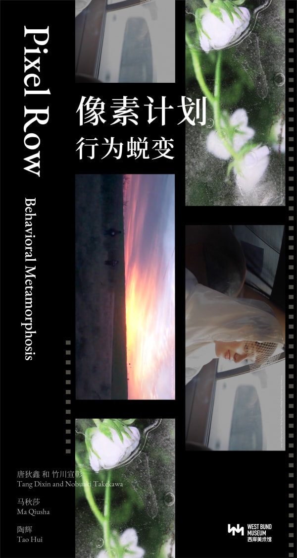 Tang Dixin and Nobuaki Takekawa