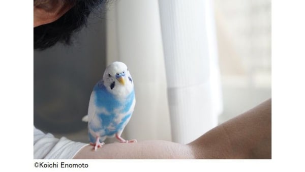 「バザール@渋谷ヒカリエ COURT」、東京