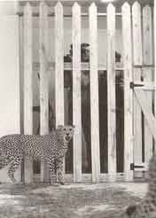 6320268884C42E9227Dd2D