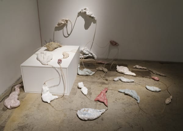 010 Dsc 8398Vladey M