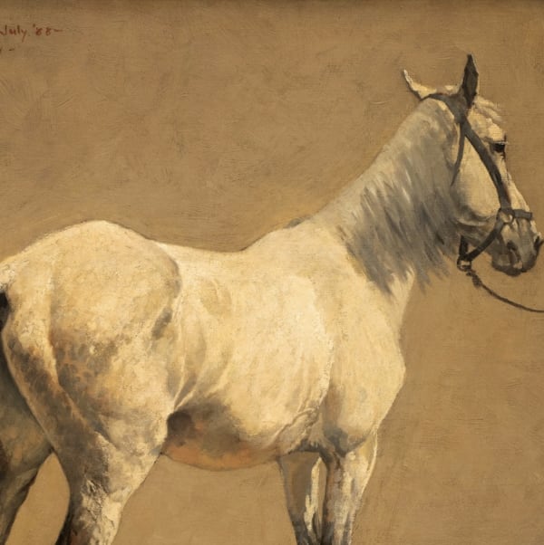 Frederic Remington - “-A Study-“ (Cavalry Horse), d. 1888