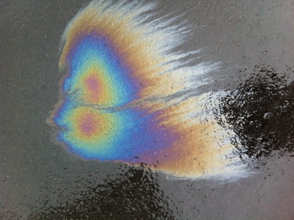 pablo marquez spot #1 fine art print on paper 17 x 22 in 43.2 x 55.9 cm