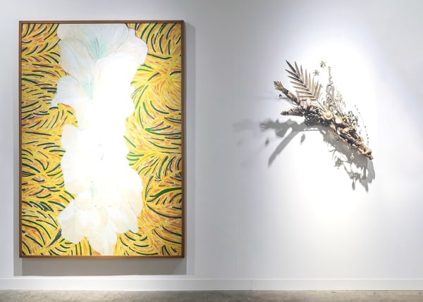 Abhk 2025 Silverlens Install 3