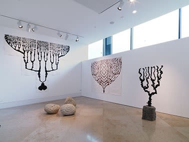 Up Flow In Situ Prp080914 0002