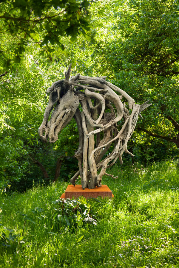 Heather Jansch - Forget Me Not, c.2015