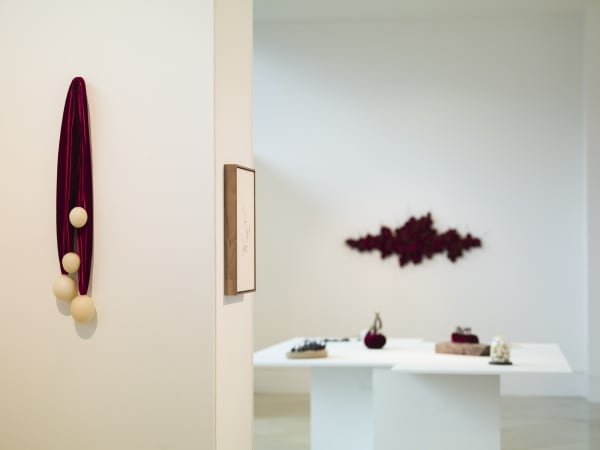 Susie MacMurray: Murmur Installation view