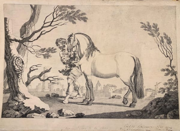 A grey stallion with a groom with a city on the background