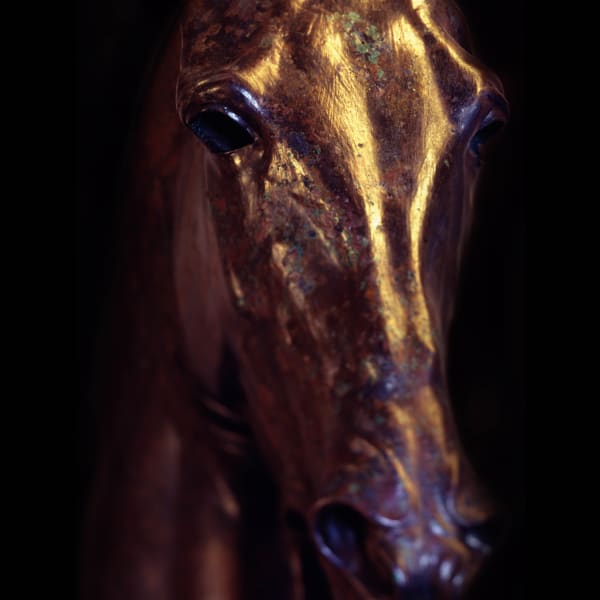 Il cavallo da vicolo delle Palme
