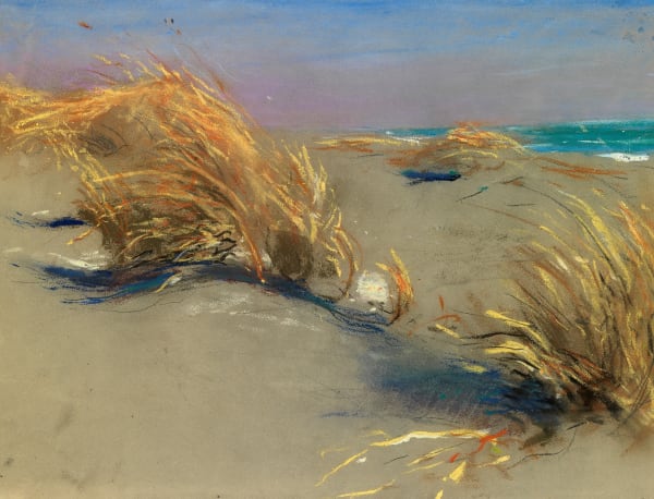 Dunes by the Sea at Maccarese