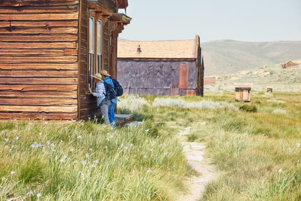 In Search of Ghosts #20