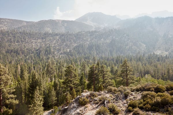 California, 2018
