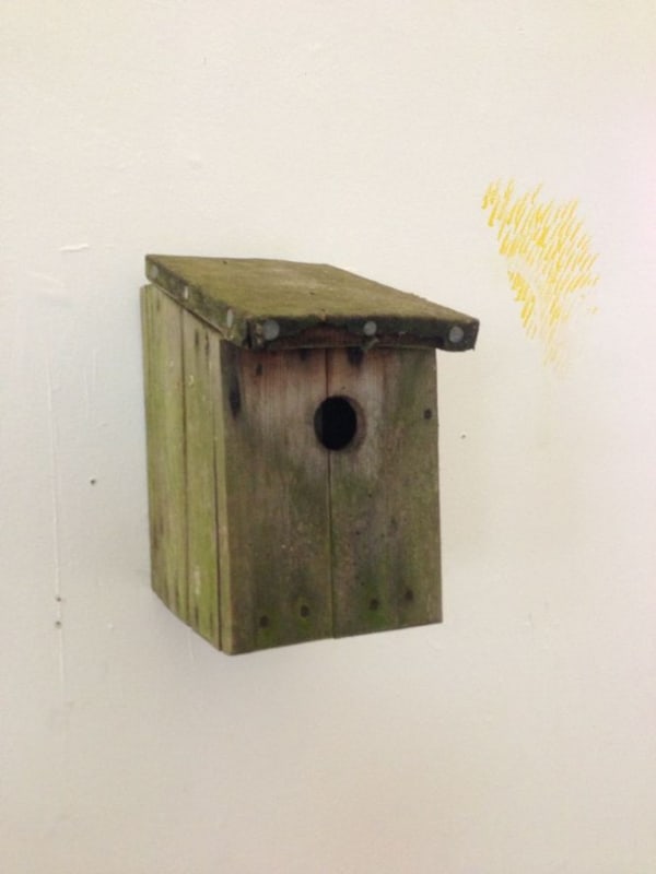 FACTUAL NONSENSE Tim Noble Abusive Crow (Birth, Work, Fuck, Death) Bird box, iPod audio loop, speaker. Edition of 2 28 x 16 x 25 cm 1995 - 2013