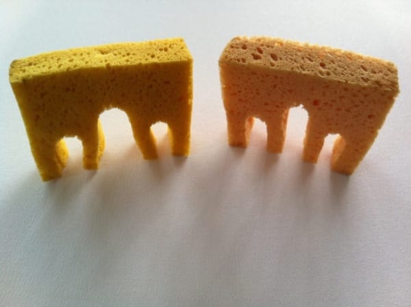 FACTUAL NONSENSE Sarah Staton