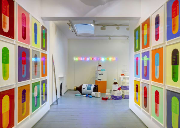 Damien Hirst Schizophrenogenesis