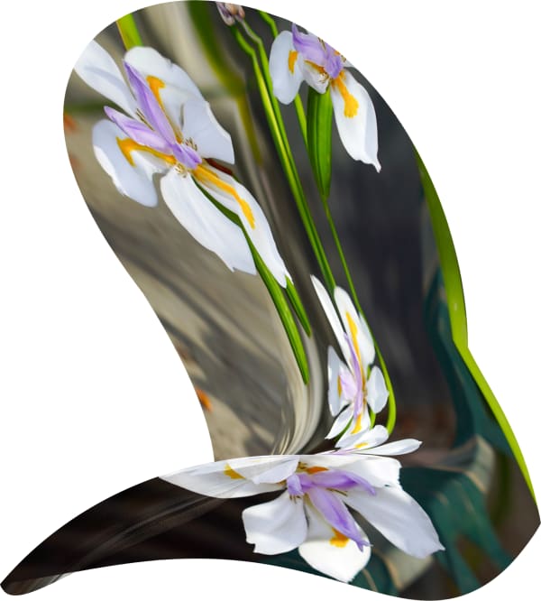 Pamela Davis Kivelson, Dream Garden, 2021
