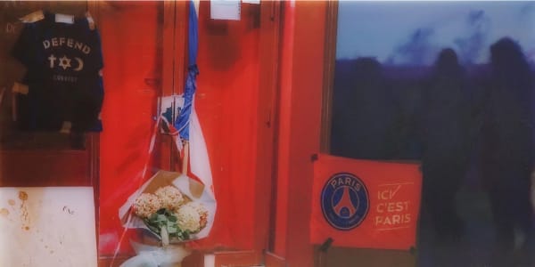 Pamela Davis Kivelson, #40 Defend the Right To Co-exist, 2018